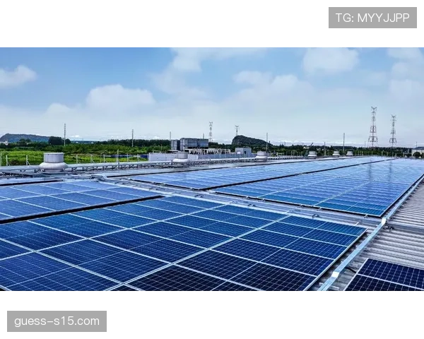 罗马俱乐部主场奥林匹克体育场全面安装太阳能板，目标2026年底实现碳中和